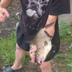 Беляков Вадим, 31.03.1988, Санкт-Петербург