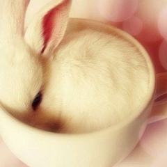 Юленька !!!!!!, 20.05, Москва