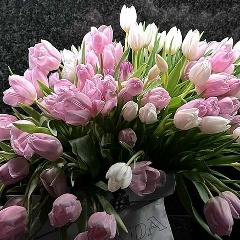 Екатерина Чеширская, 14.03, Минск