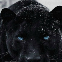 Владимир Руотси, 09.05.1990, Helsinki