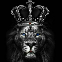 Саттар Мехравар, 28.04, Москва