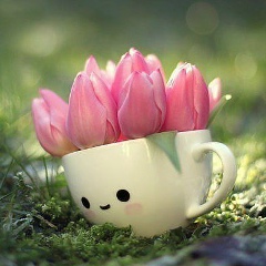 Алия Мустафина, 01.06.1982