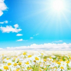 Зухра Фастулина, 25.02, Тюмень