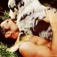 Арес Великолепный