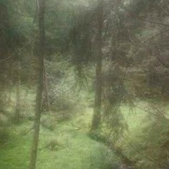 Евгений Савкович, 25.08.1979, Томск