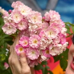 Елена Бергау, 11.02