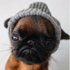 Юрий Ильин, 06.05, Санкт-Петербург