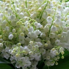 Ландыш Усманова, 21.05, Альметьевск