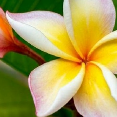 Анастасия Дезюменко, 02.10, Алматы