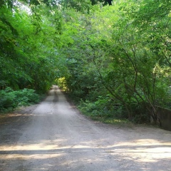 Анзор Пантиев, 19.06