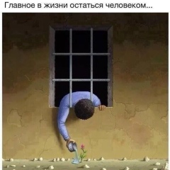 Артур Алибеков, Махачкала