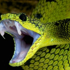 Марина Хазиахметова, 11.03.1985, Уфа