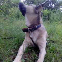 Ольга Грищук, 03.04.1992, Москва