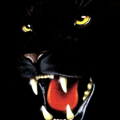 Артур Турос, 05.07, Нальчик