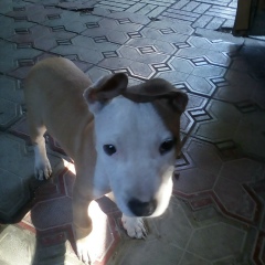 Бауыржан Бримжаров, 13.01, Алматы