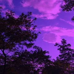 Влад К, Киев