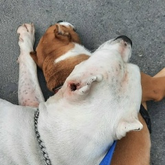 Леша Кузнец, 22.12, Самара