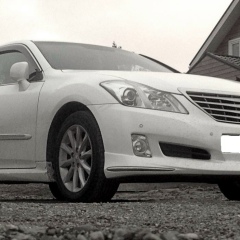 Дмитрий Гладышев, 29.09.2008, Новосибирск