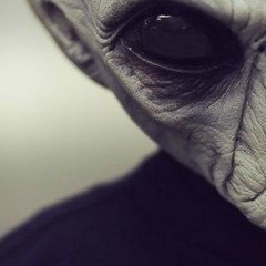 Константин Нерог, 08.09.1982, Калининград