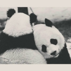 Vahag Manukyan, 18.04.2000, Ереван