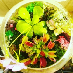 Оксана , Санкт-Петербург