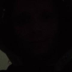 Серый Кот, Москва