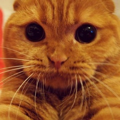 Рамиль Худайбердин, 10.07.1987, Москва