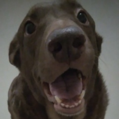 Наталия Кравченко, Санкт-Петербург