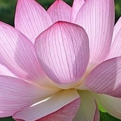 Татьяна Слезберг, 20.07, Алматы