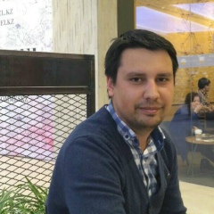 Temur Ibragimov, Chicago
