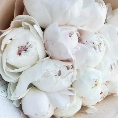 Ольга Киселева