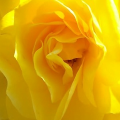 Ирина Агафонова, 27.02, Липецк