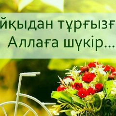 Бауыржан Екудаев, Шымкент