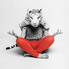 Станислава Старцева, 07.10.1987, Харьков