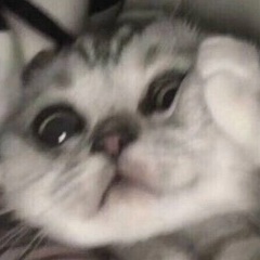 Алексей Сильванский, 24.04, Москва