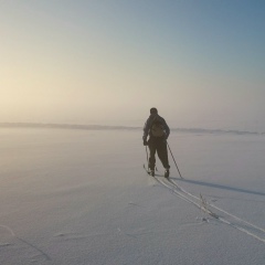Николай Алексеев