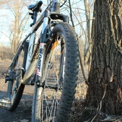 Віталій Люлько, 14.05, Киев