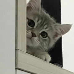 Василий Тяпинский, 01.06.1997