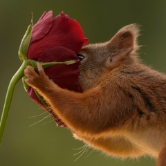 Надежда-Клеопатра Зиборова, 19.12, Санкт-Петербург