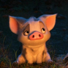 Никита Сорока, 07.09.1985