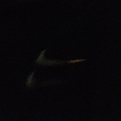 Даниил Гафаров, 23.10.2001