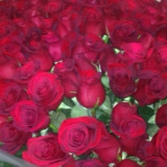 Наина Кулиева, 27.06, Алматы