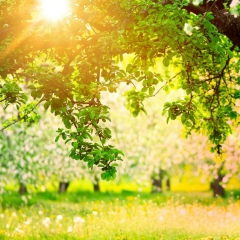 Елена Юрьевна Броиловская, Москва