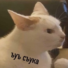 Владислав Старостин, 15.06.1992, Клин