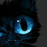 Андрюха Шидловський, 03.11, Жидачов