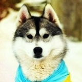 Marco Reus, 20.04.2001