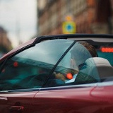 David Gahan, 07.02.1997, Stanley