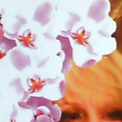 Natalya Anderson, 21.12, Нижний Новгород