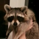 Алина Скачко, Харьков