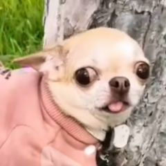 Олег Кулаков, 06.06, Екатеринбург